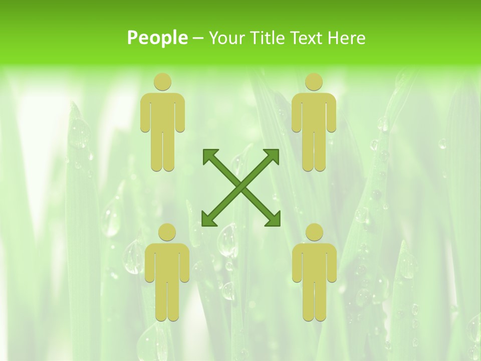 Background Meadow Wet PowerPoint Template