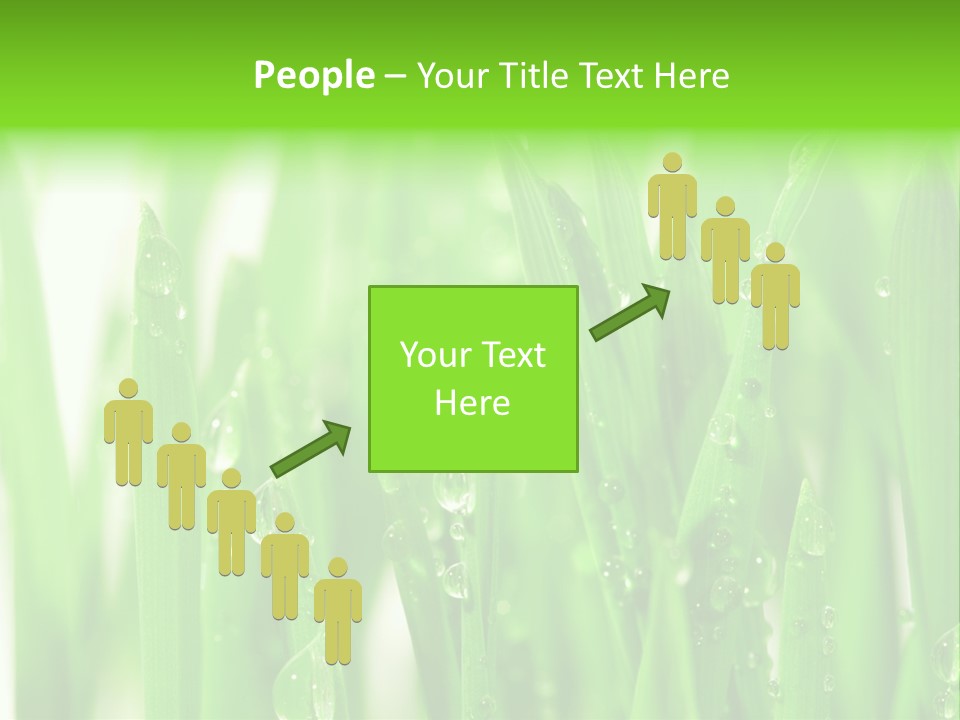 Background Meadow Wet PowerPoint Template