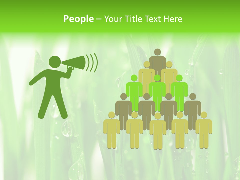 Background Meadow Wet PowerPoint Template