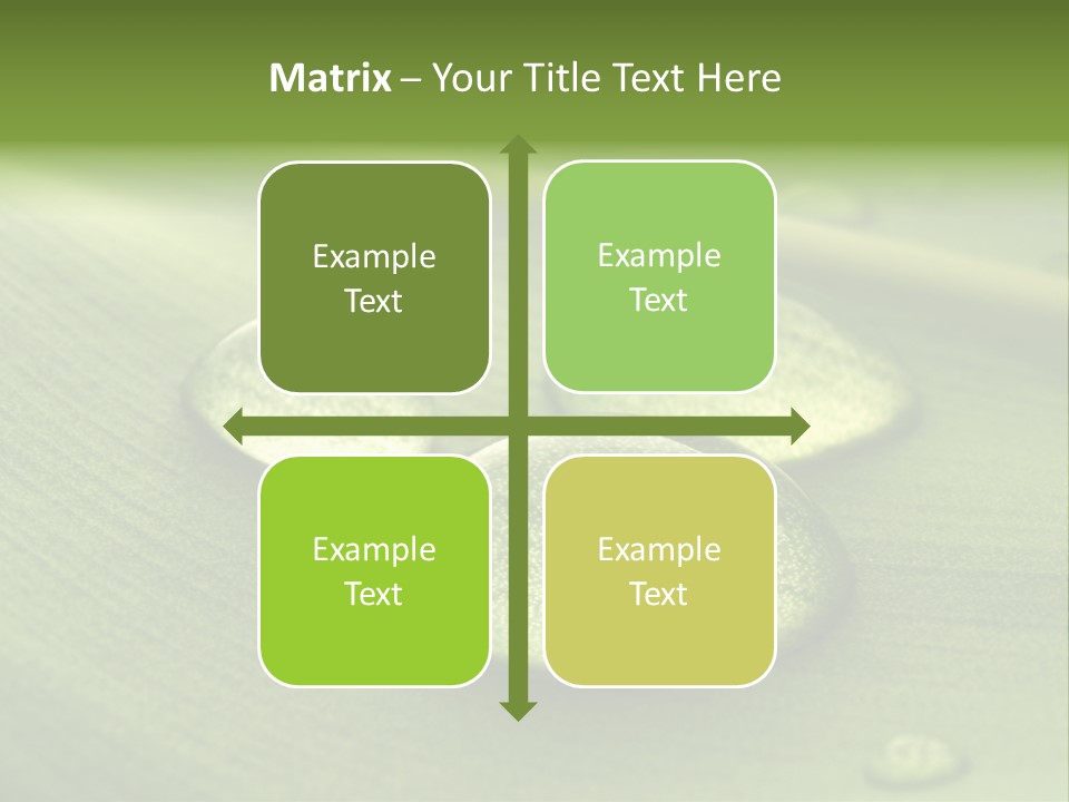 Drops Droplets Leaf PowerPoint Template