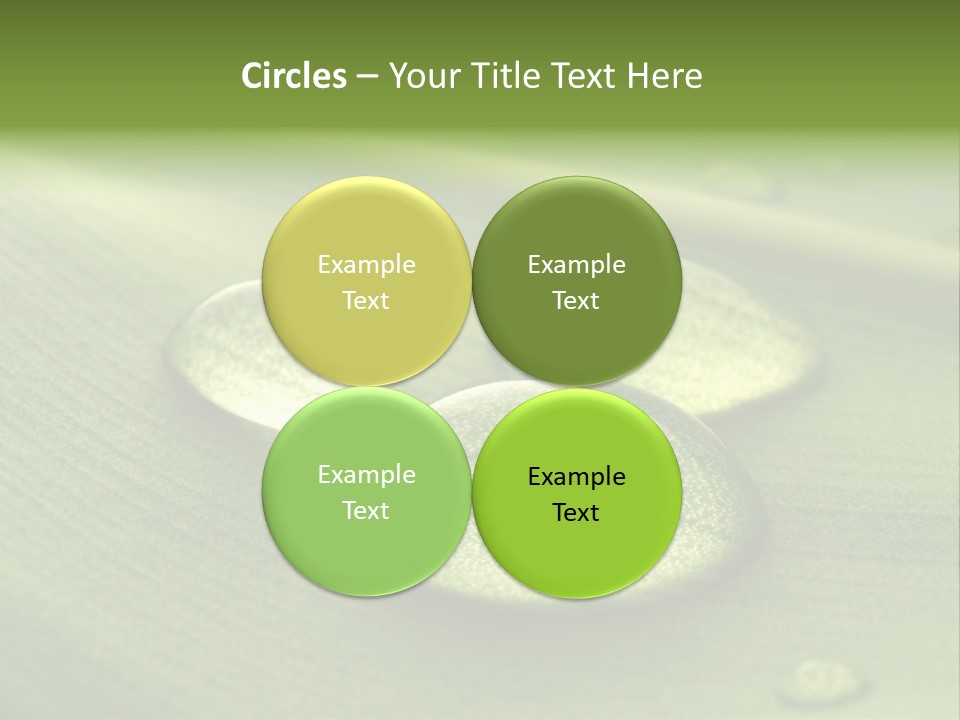 Drops Droplets Leaf PowerPoint Template