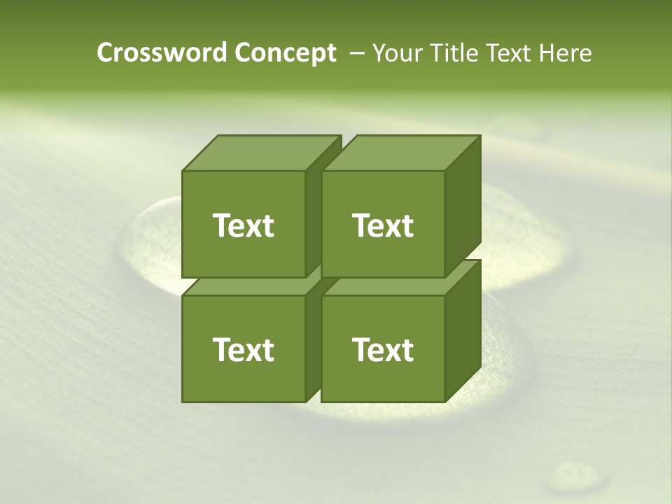 Drops Droplets Leaf PowerPoint Template