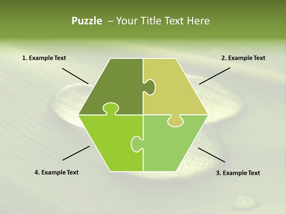 Drops Droplets Leaf PowerPoint Template