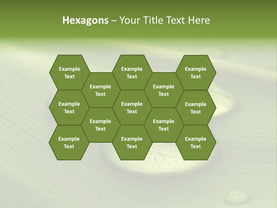 Drops Droplets Leaf PowerPoint Template