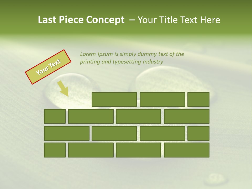 Drops Droplets Leaf PowerPoint Template