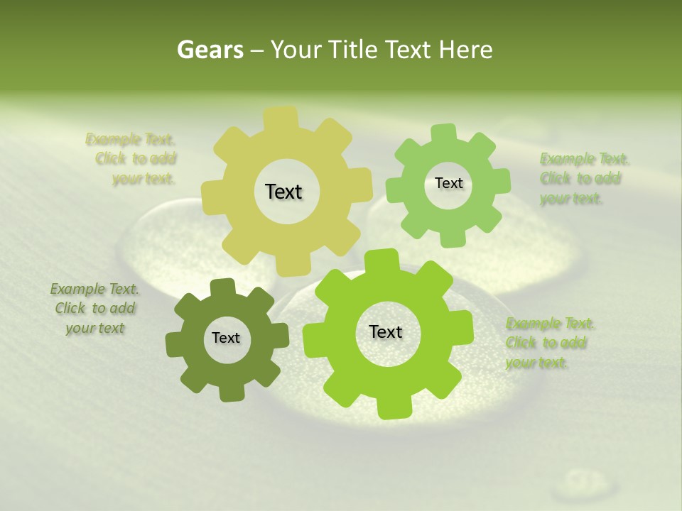 Drops Droplets Leaf PowerPoint Template