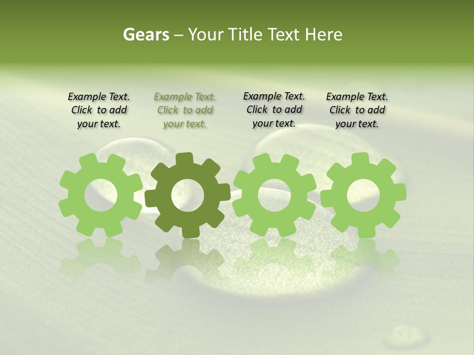 Drops Droplets Leaf PowerPoint Template