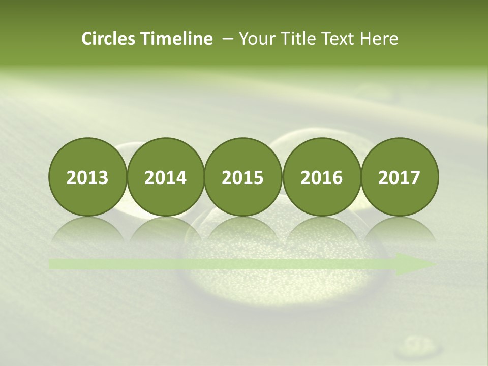 Drops Droplets Leaf PowerPoint Template