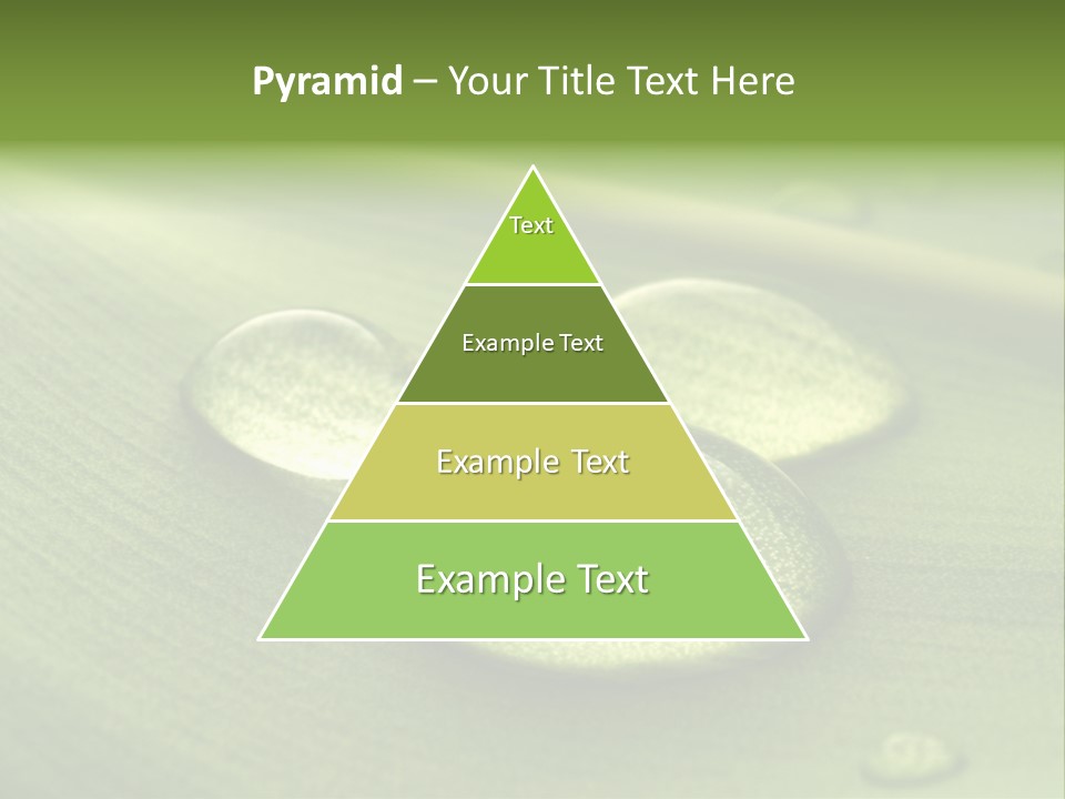 Drops Droplets Leaf PowerPoint Template