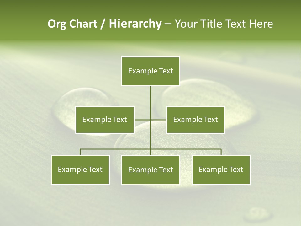 Drops Droplets Leaf PowerPoint Template