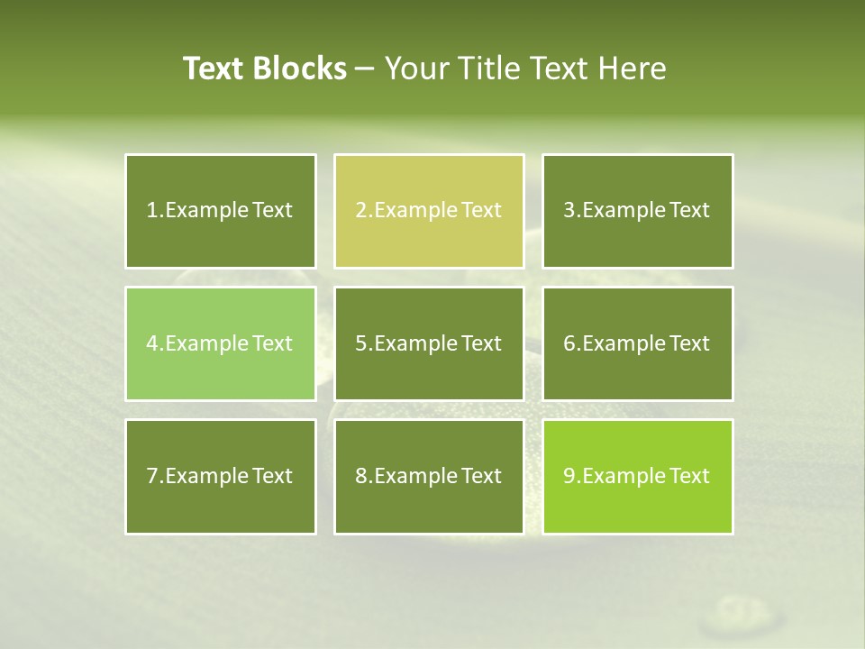Drops Droplets Leaf PowerPoint Template