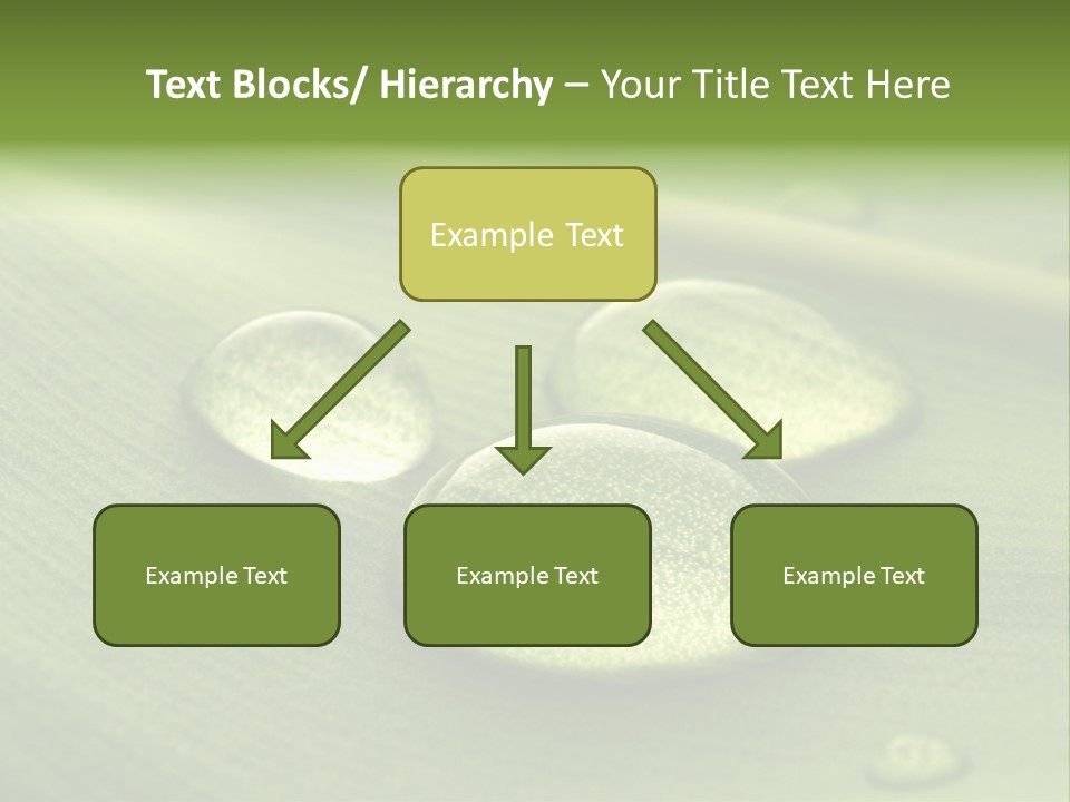Drops Droplets Leaf PowerPoint Template