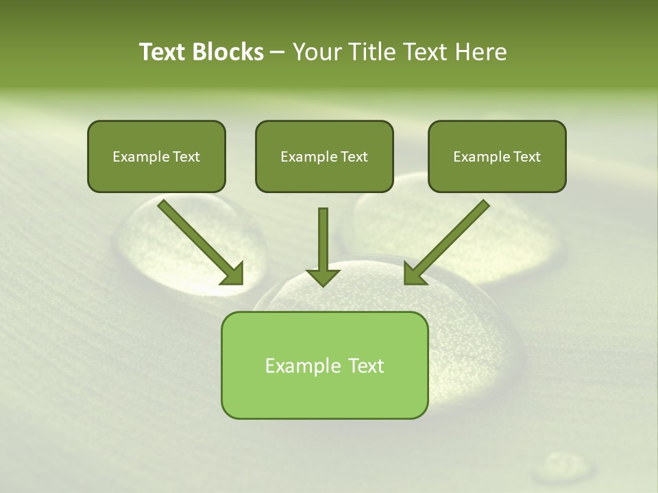 Drops Droplets Leaf PowerPoint Template