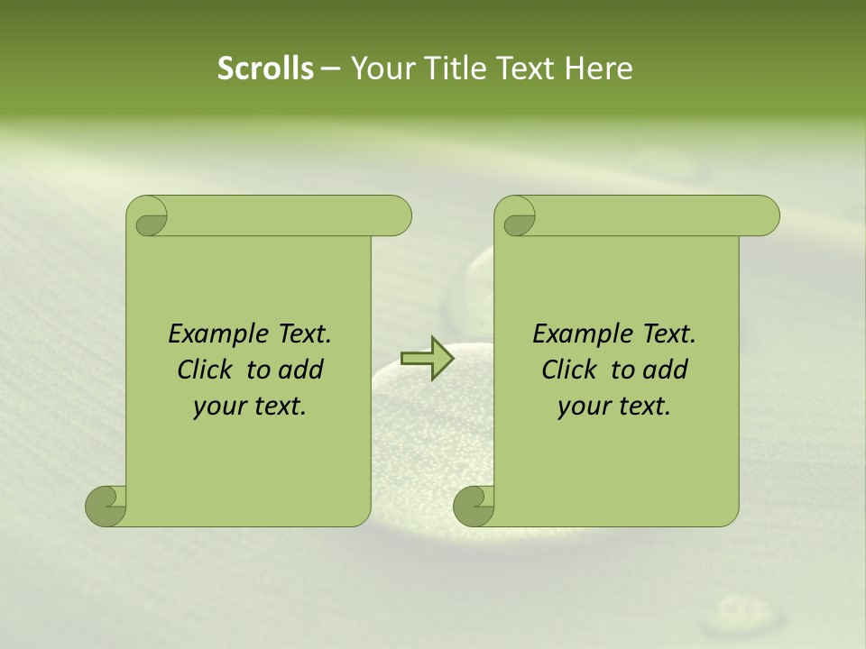 Drops Droplets Leaf PowerPoint Template