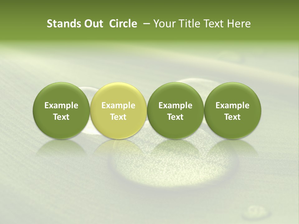 Drops Droplets Leaf PowerPoint Template