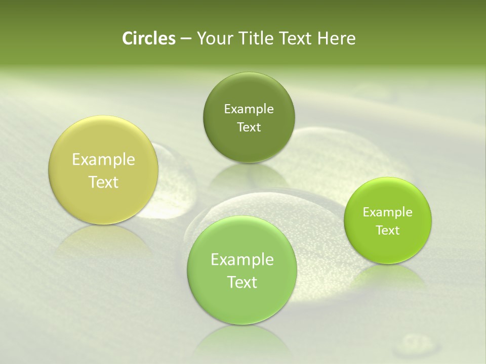 Drops Droplets Leaf PowerPoint Template