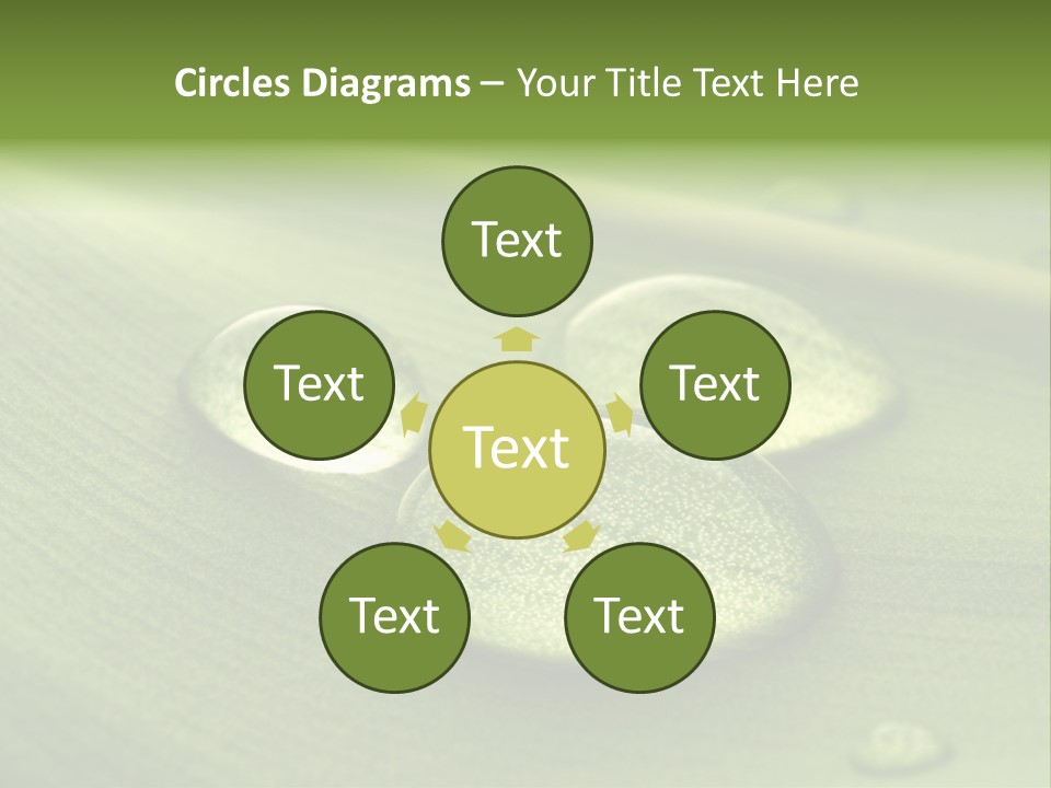 Drops Droplets Leaf PowerPoint Template