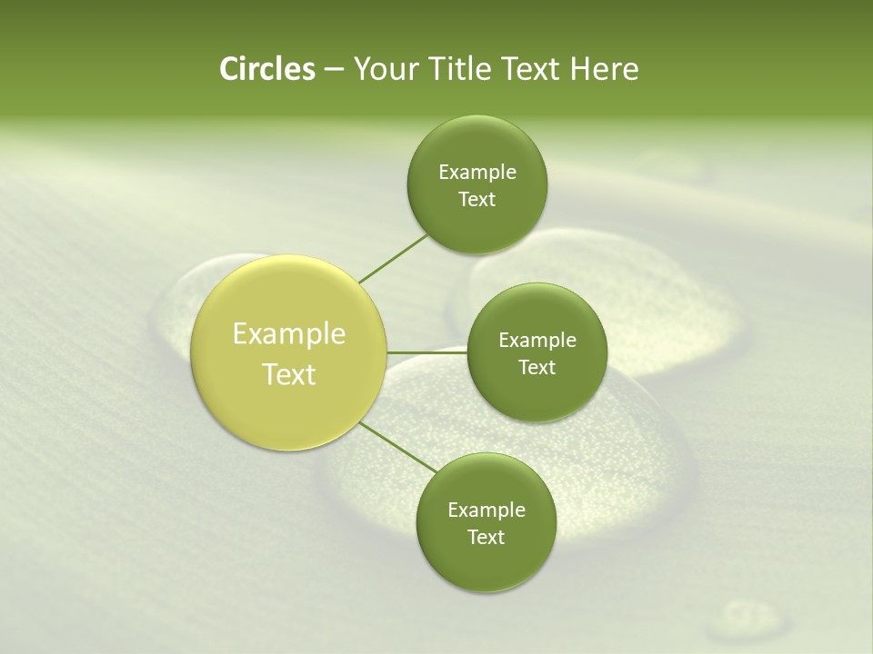 Drops Droplets Leaf PowerPoint Template