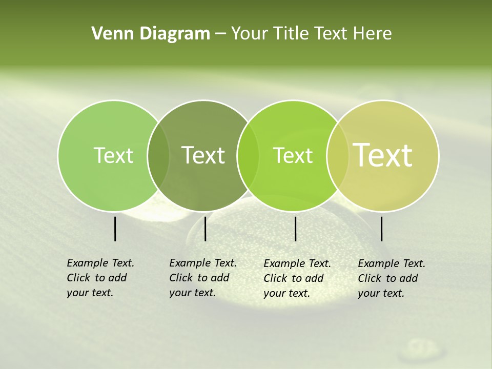 Drops Droplets Leaf PowerPoint Template