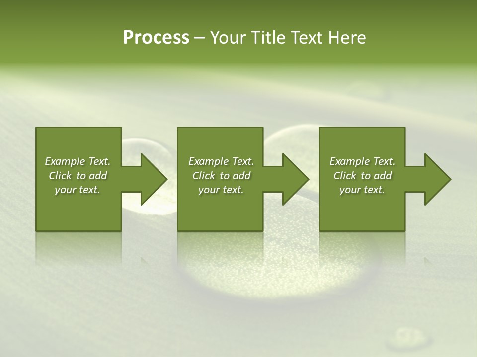 Drops Droplets Leaf PowerPoint Template