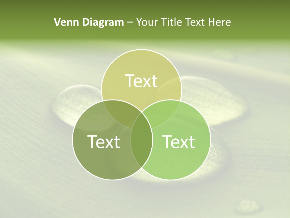Drops Droplets Leaf PowerPoint Template