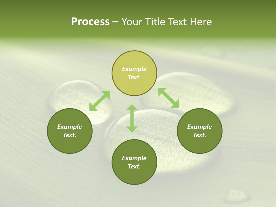 Drops Droplets Leaf PowerPoint Template