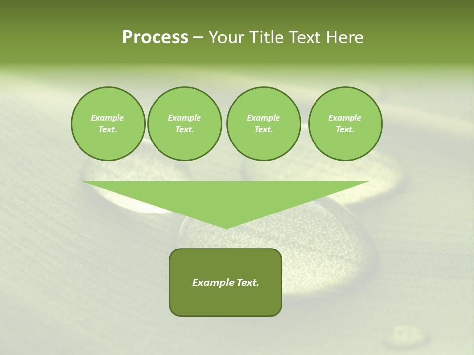 Drops Droplets Leaf PowerPoint Template