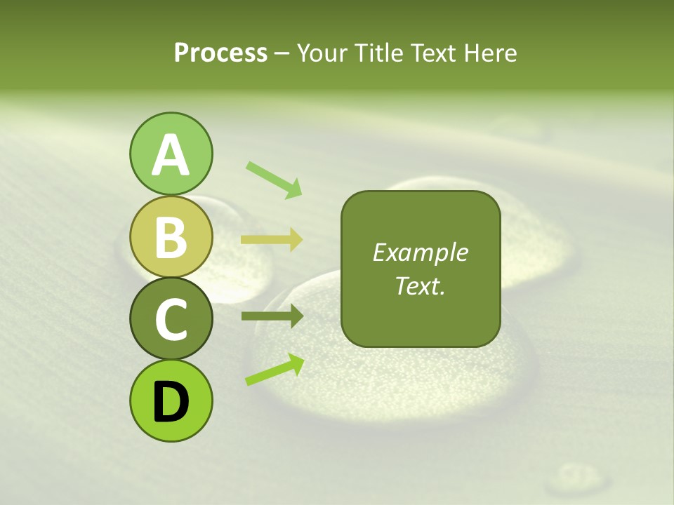 Drops Droplets Leaf PowerPoint Template