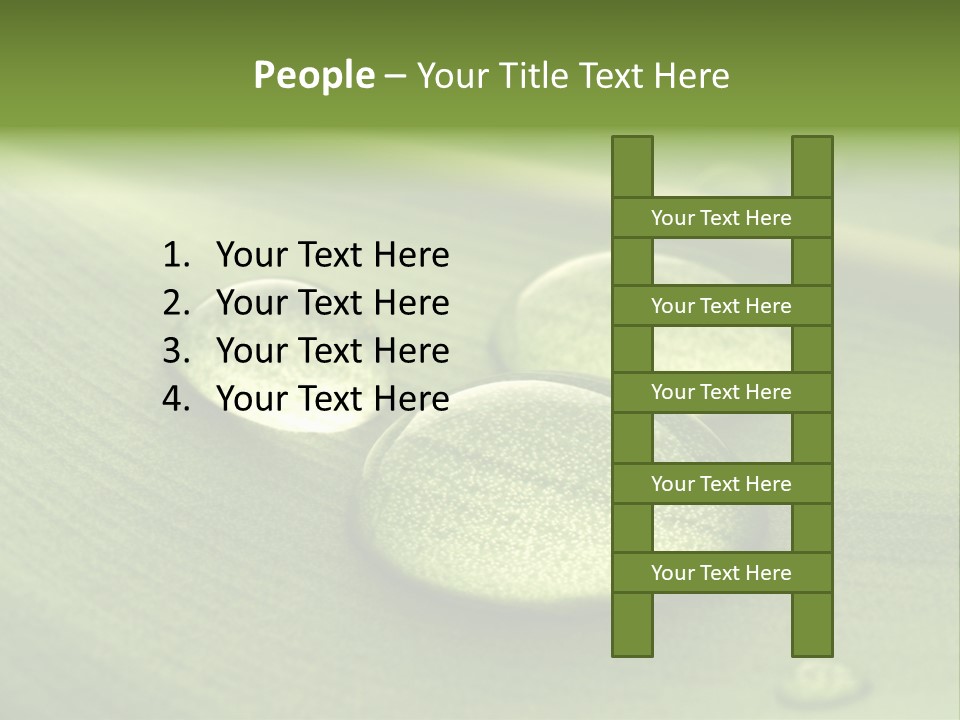 Drops Droplets Leaf PowerPoint Template