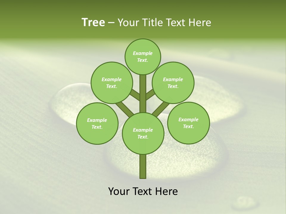 Drops Droplets Leaf PowerPoint Template