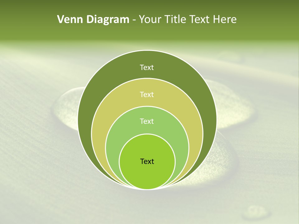Drops Droplets Leaf PowerPoint Template