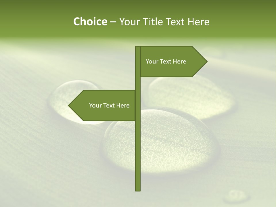 Drops Droplets Leaf PowerPoint Template