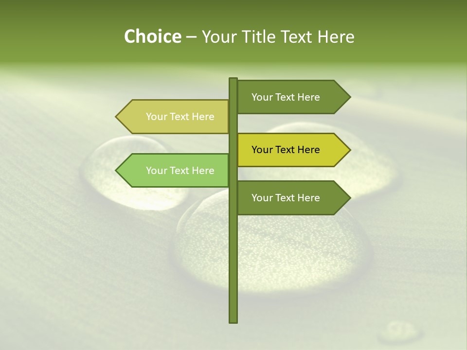Drops Droplets Leaf PowerPoint Template