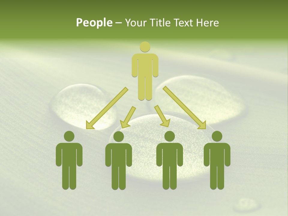Drops Droplets Leaf PowerPoint Template