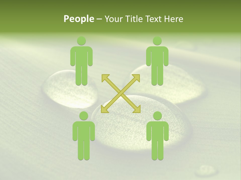 Drops Droplets Leaf PowerPoint Template