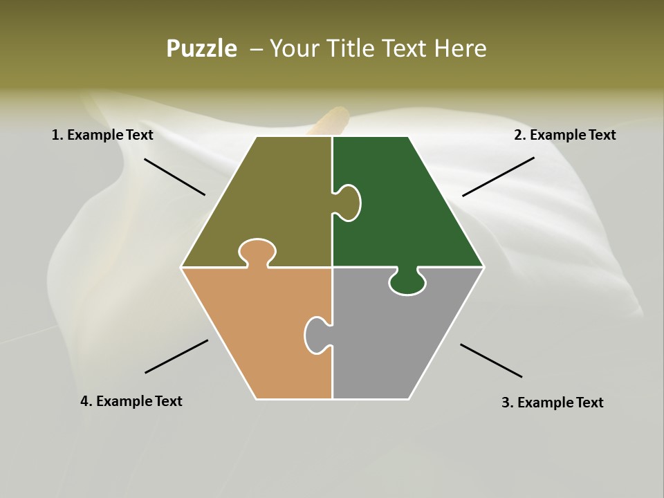 Calla Lily Botany Plant PowerPoint Template