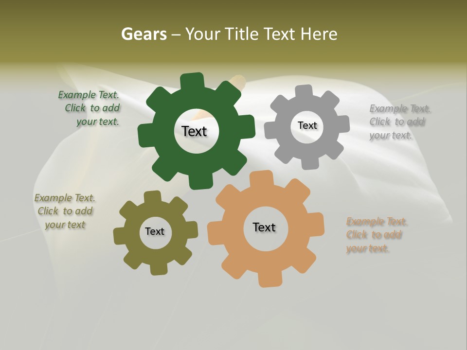 Calla Lily Botany Plant PowerPoint Template