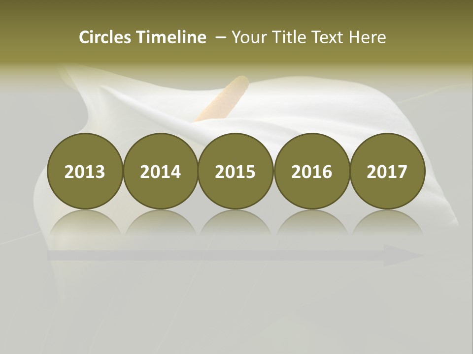 Calla Lily Botany Plant PowerPoint Template