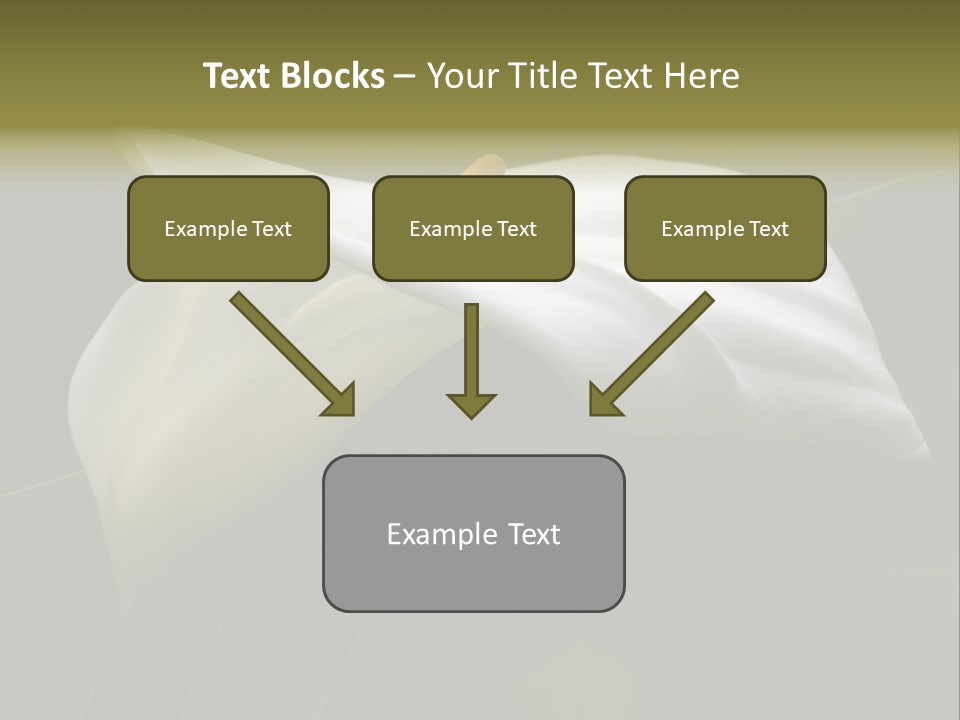 Calla Lily Botany Plant PowerPoint Template