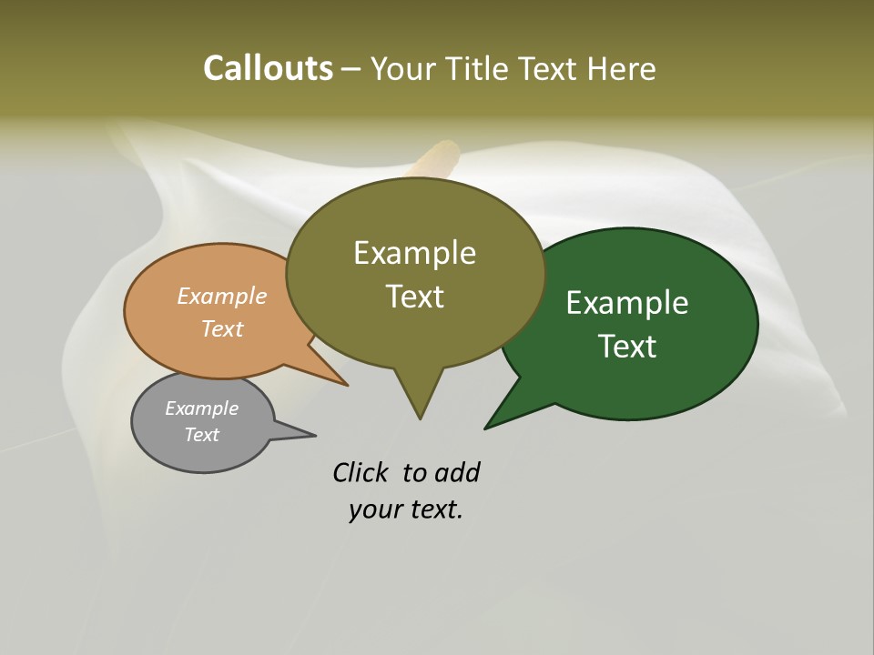 Calla Lily Botany Plant PowerPoint Template