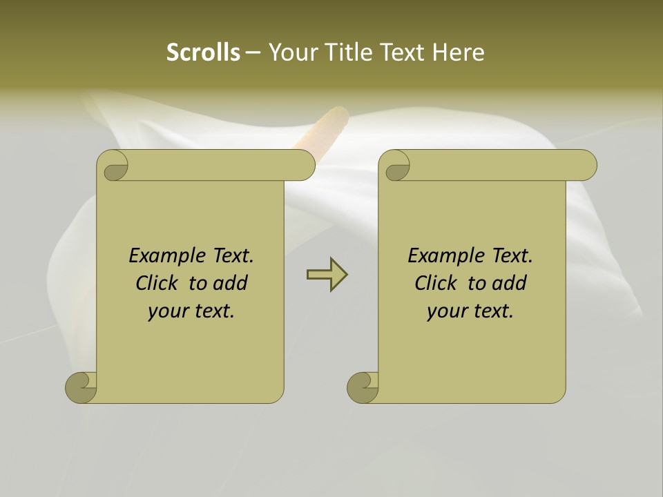 Calla Lily Botany Plant PowerPoint Template