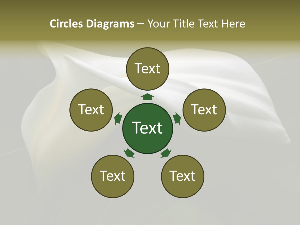 Calla Lily Botany Plant PowerPoint Template