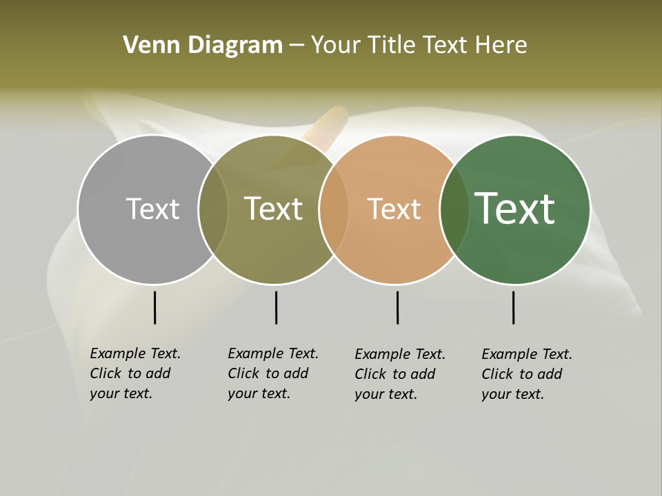 Calla Lily Botany Plant PowerPoint Template