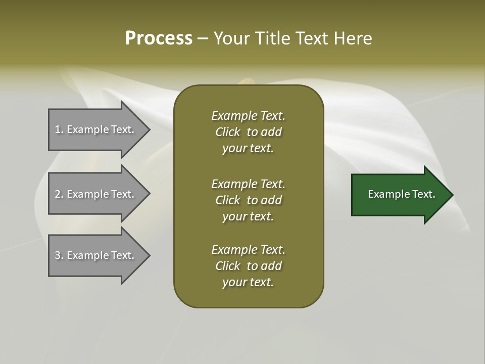 Calla Lily Botany Plant PowerPoint Template