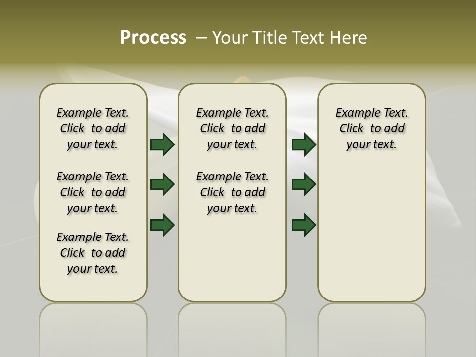 Calla Lily Botany Plant PowerPoint Template