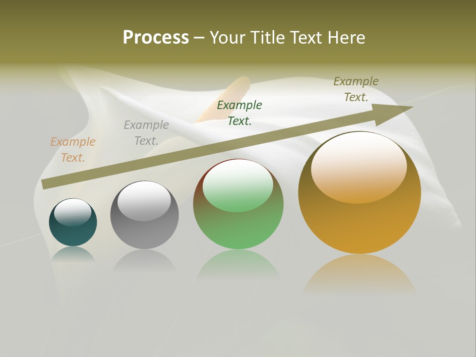 Calla Lily Botany Plant PowerPoint Template