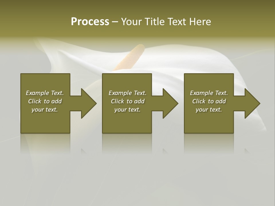 Calla Lily Botany Plant PowerPoint Template