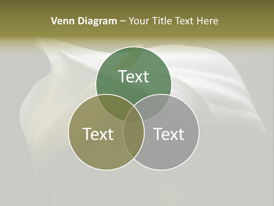 Calla Lily Botany Plant PowerPoint Template