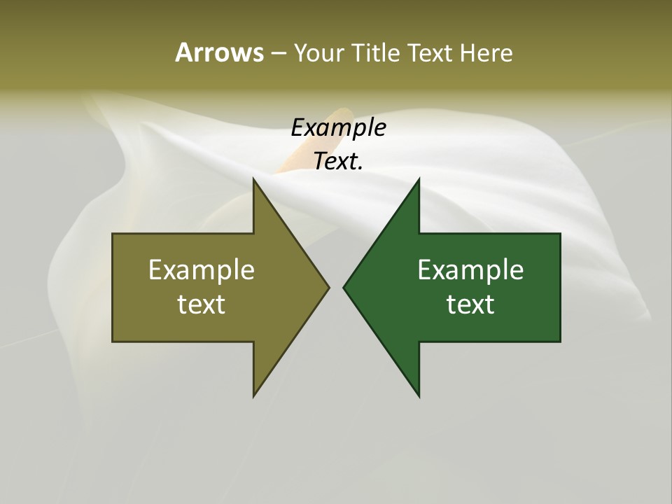 Calla Lily Botany Plant PowerPoint Template