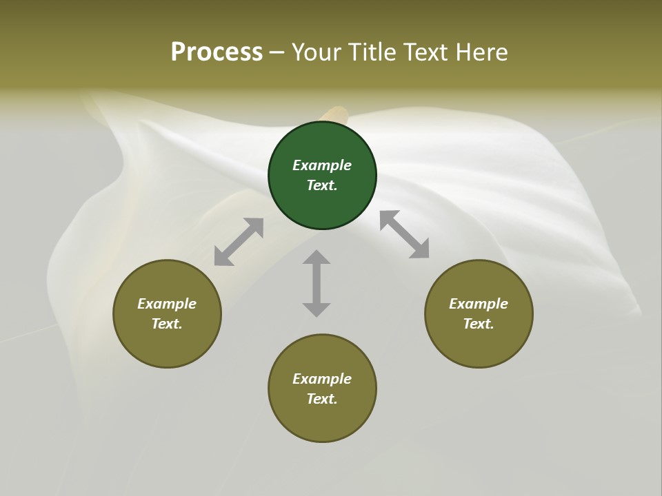 Calla Lily Botany Plant PowerPoint Template